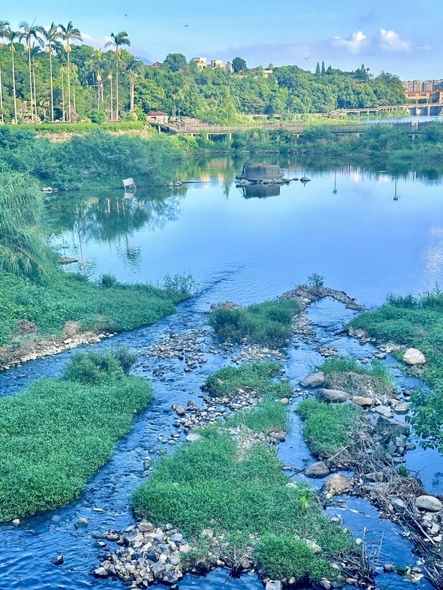 翠影繚繞・福州國家森林公園的森呼吸