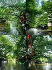 逃離火爐！重慶主城1.5h直達四大20℃清涼秘境週末約姊妹