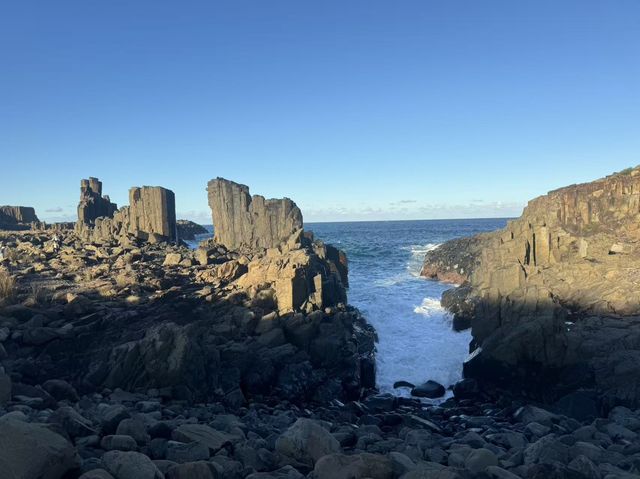 悉尼旅遊正確玩法！