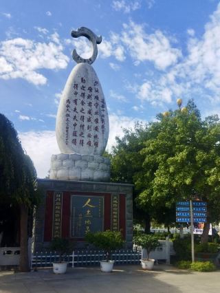 A New Chapter in Farming: Green Hope at the Shanxi Agricultural Window Expo Park