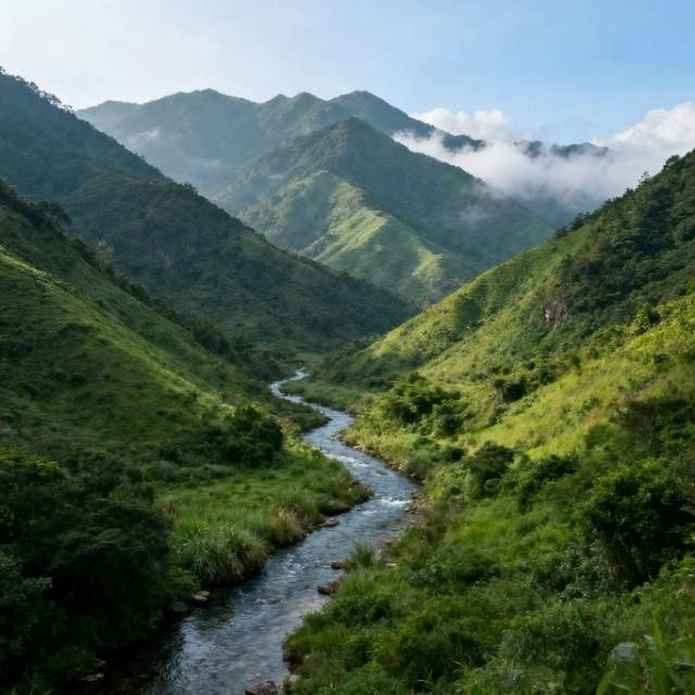 江門，藏著廣東最有韻味的慢生活
