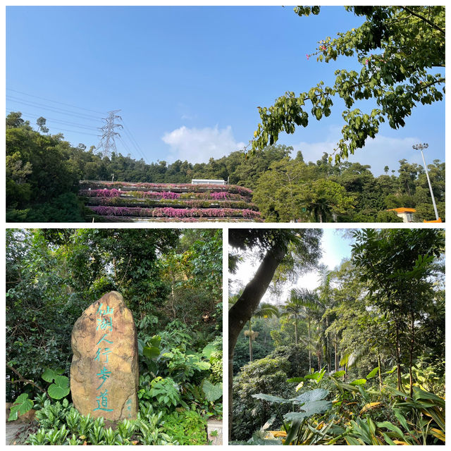 🌿深圳綠肺仙蹤!仙湖植物園玩轉攻略✨ 🌿深圳綠肺仙蹤!仙湖植物園玩轉攻略✨