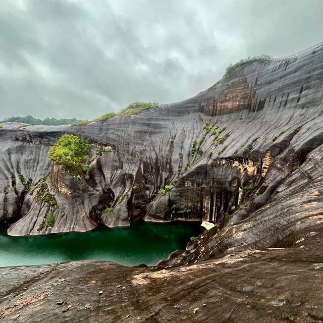 雲霧秘境莽山遊