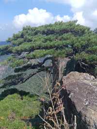 自然奇觀等你探尋---黃山