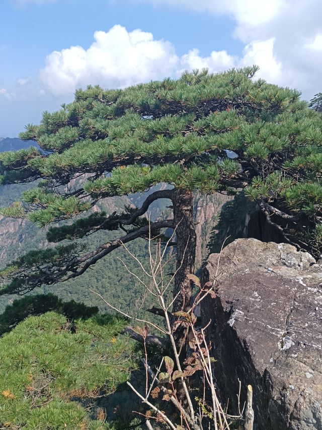 自然奇觀等你探尋---黃山