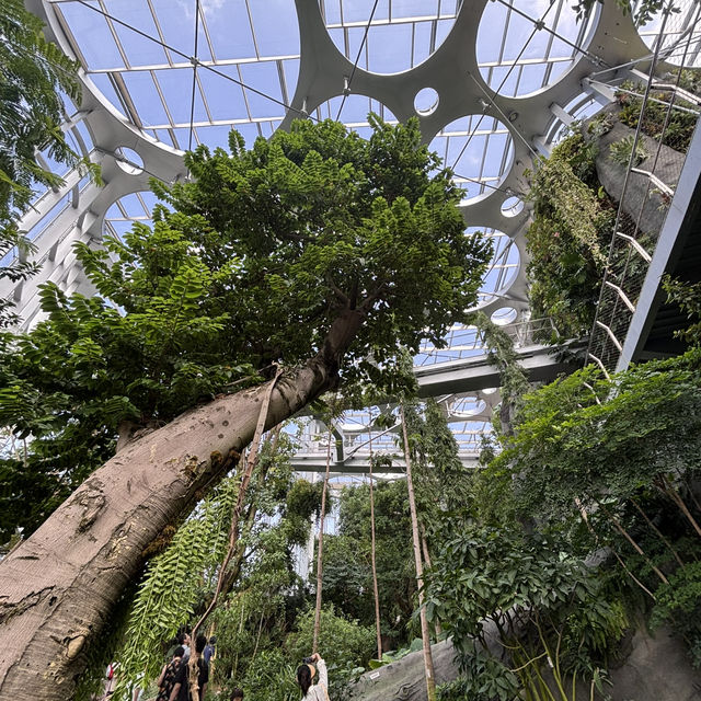 【上海】上海温室花園🪴｜写真映え×自然癒し×屋内観光にぴったり！