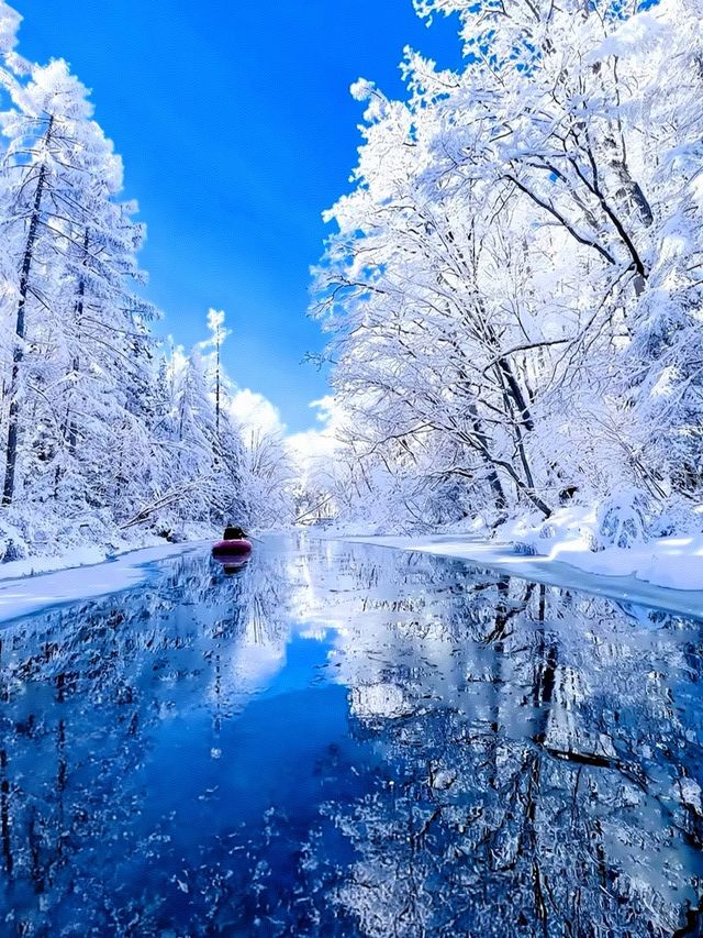 讓我們投入到這冰天雪地的世界，來一次冰雪奇緣！