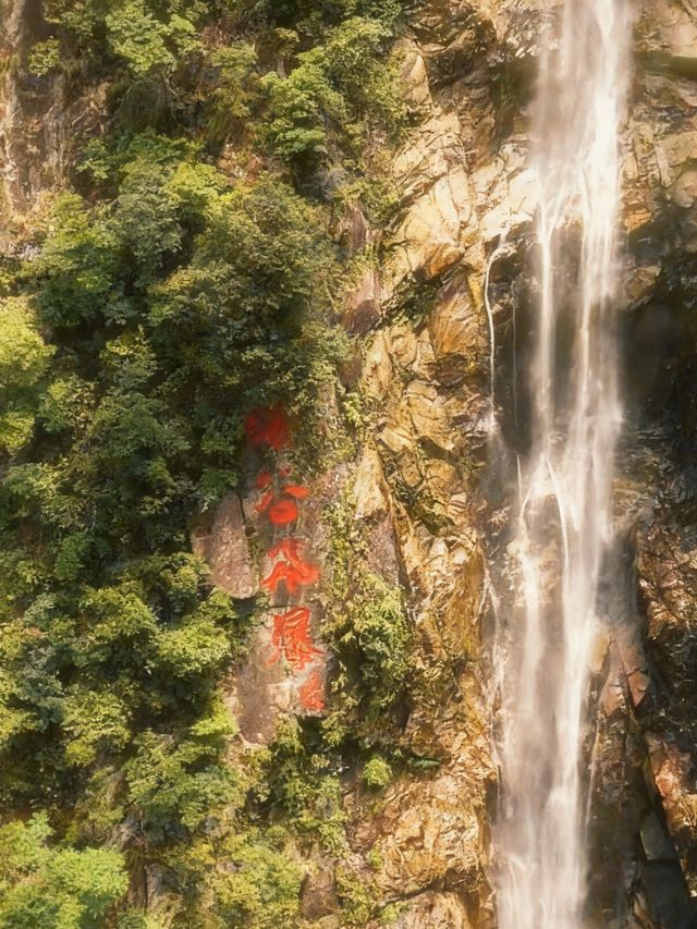 雲端漫步日記｜在武功山被綠色海洋治癒的瞬間