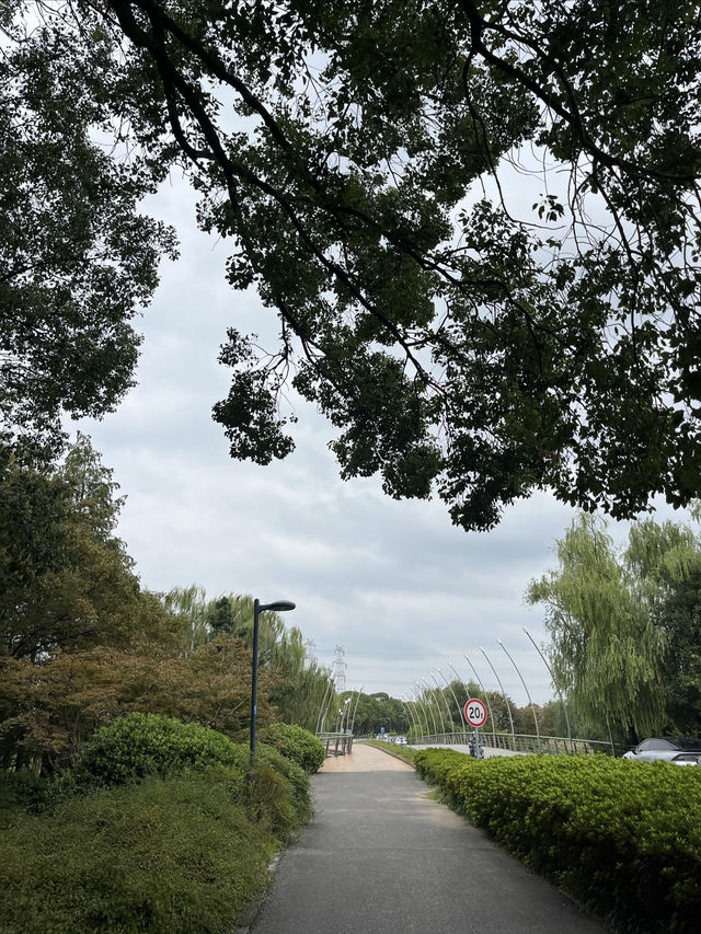 東沙湖生態公園