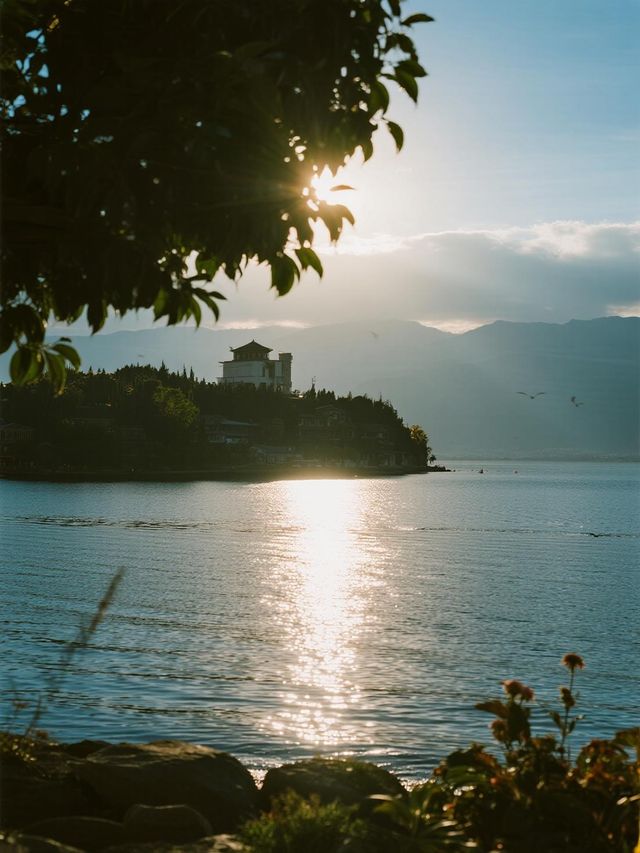 大理洱海遛娃絕了!帶娃玩遍小眾景+看海鷗,一天把浪漫拉滿 大理洱海遛娃絕了!帶娃玩遍小眾景+看海鷗,一天把浪漫拉滿