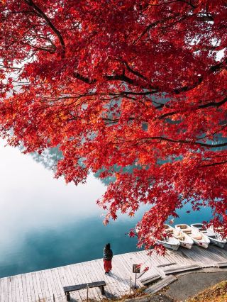 Top 10 Stunning Autumn Foliage Spots in Fukushima: Northeast Photographer’s Secret Check-in Places