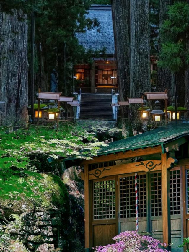 親子必看!和歌山高端不費媽玩法·3天2晚全攻略 親子必看!和歌山高端不費媽玩法·3天2晚全攻略