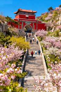 愁秋日沒處耍濟南-泰安-濟寧走起