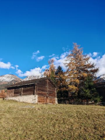 Autumn Whispers｜Encounter a Romance of Snowy Mountains and Golden Larches in Verbier