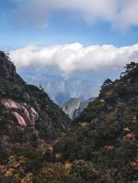 雲霧仙境徒步路線