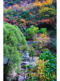 山林古道美如畫