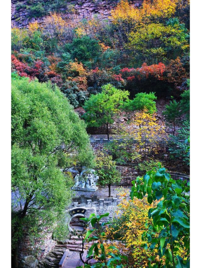 山林古道美如畫