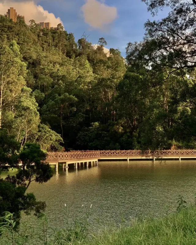 珠海香山湖晨遊攻略