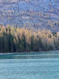 新疆喀納斯秋日童話遇見雪山松鼠的治癒時刻