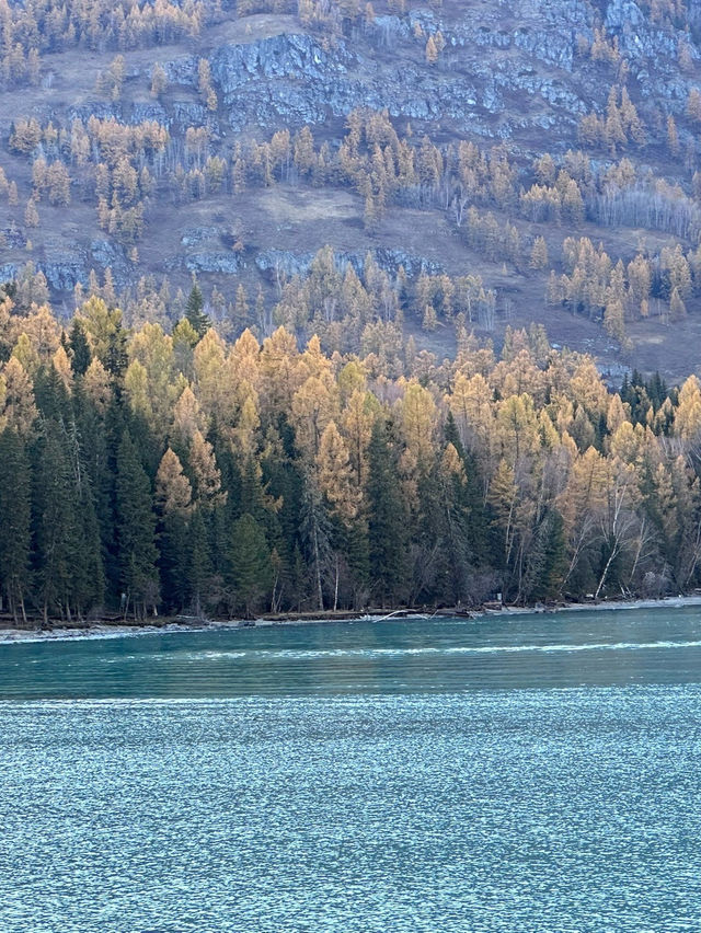 新疆喀納斯秋日童話遇見雪山松鼠的治癒時刻 新疆喀納斯秋日童話遇見雪山松鼠的治癒時刻