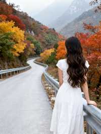 濟南秋日野趣指南