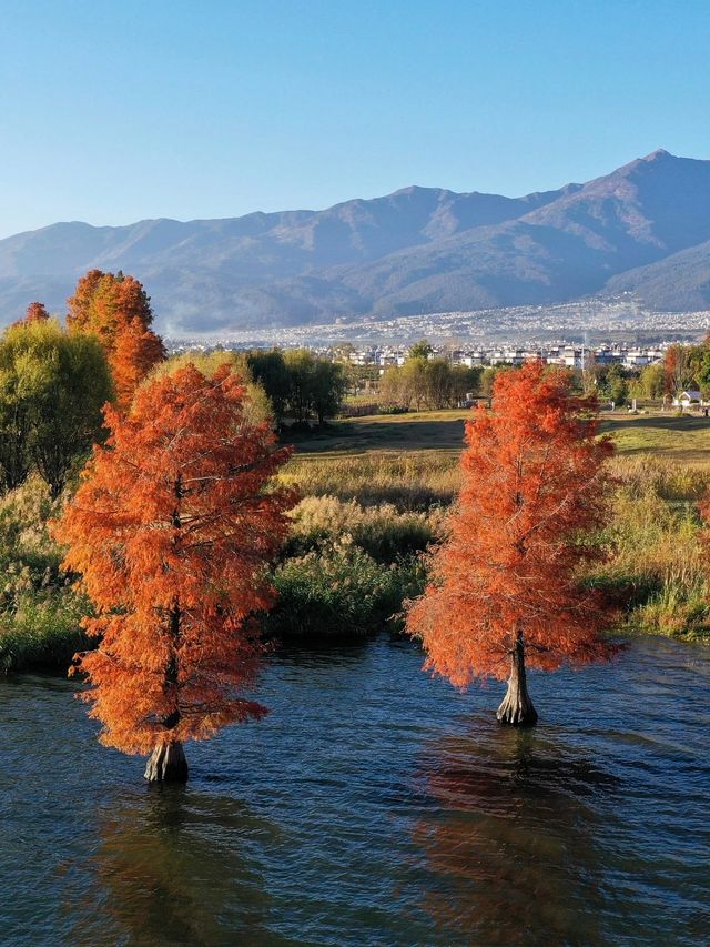 11月的大理，是打翻了的調色盤啊！附超全攻略