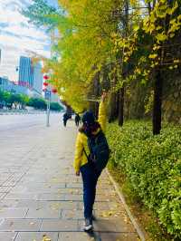 街區銀杏打卡地恩施州文化中心