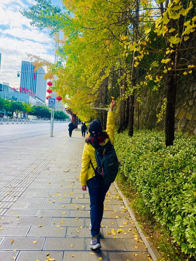 街區銀杏打卡地恩施州文化中心 街區銀杏打卡地恩施州文化中心