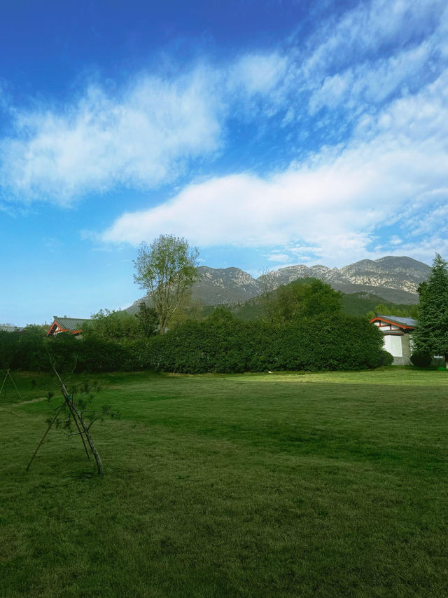 逃離鄭州天花板!登封24小時治癒之旅 逃離鄭州天花板!登封24小時治癒之旅