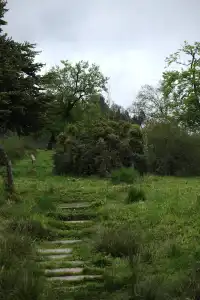 人生第一次帶相機雨林徒步!