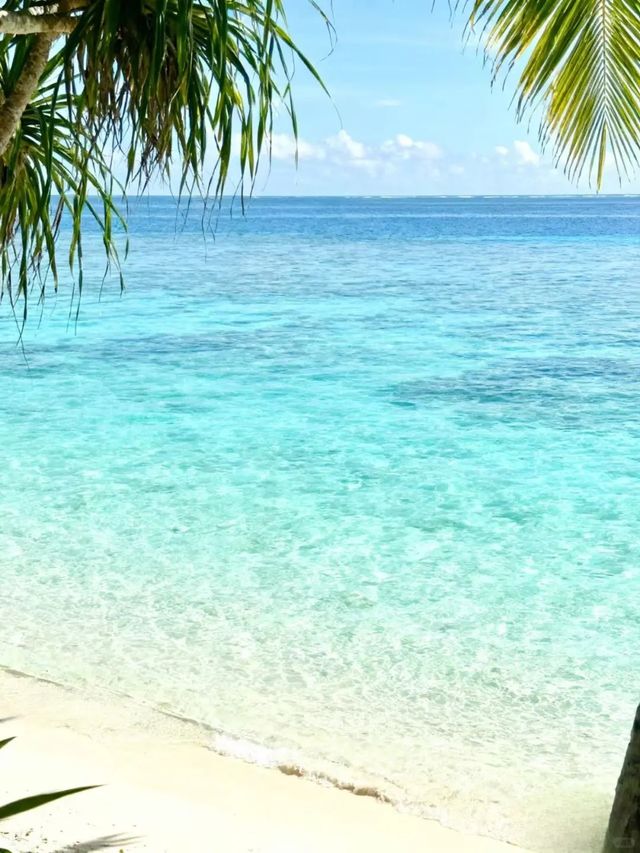 去仙本那免簽也要注意的事情。 去仙本那免簽也要注意的事情。