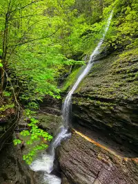 二遊紐約州Watkins Glen