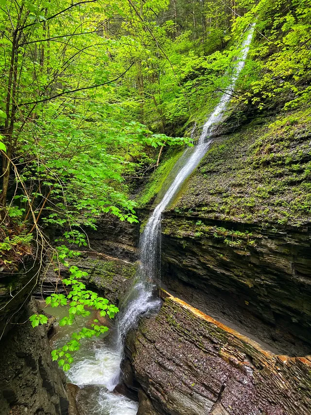 二遊紐約州Watkins Glen