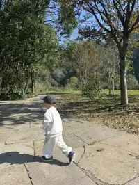 室外遛娃｜諸暨五泄 闖入秋葉世界