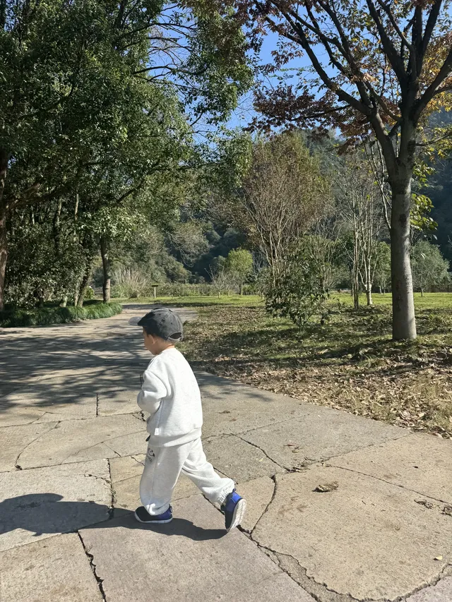 室外遛娃｜諸暨五泄 闖入秋葉世界