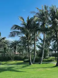 萬寧｜海邊躺平日記