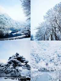 玉塵飛瀑，瓊枝漫山！快來捕捉翠華山的冬日限定浪漫~