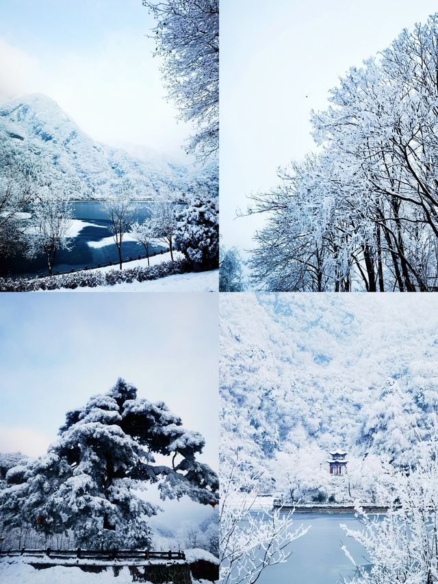 玉塵飛瀑，瓊枝漫山！快來捕捉翠華山的冬日限定浪漫~