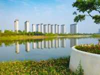 一場充滿文化、自然和美食的「孝感之旅」!