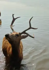 杭州灣濕地公園——承包我對秋冬的所有浪漫