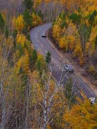 額爾古納河絕美秋景自駕攻略油畫般的金色童話世界