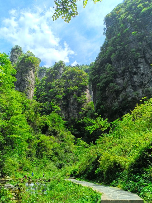 德夯,苗語的音譯,意思為「美麗的峽谷」。 德夯,苗語的音譯,意思為「美麗的峽谷」。
