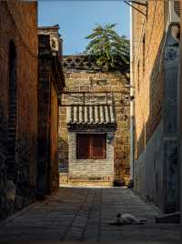 在鴻達感受一種被妥帖安放的溫暖