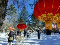 哈爾濱漠河+雪鄉8日遊玩法超高性價比