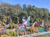 上海共青森林公園|秋日限定浪漫被我發現了