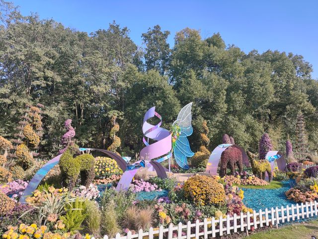 上海共青森林公園|秋日限定浪漫被我發現了 上海共青森林公園|秋日限定浪漫被我發現了