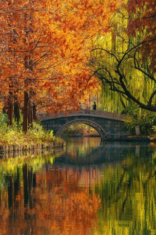 12월 1일 실사진, 대명호의 초겨울, 강남 수향처럼 아름답다