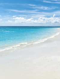 淡季的亞庇真係人間理想！！！