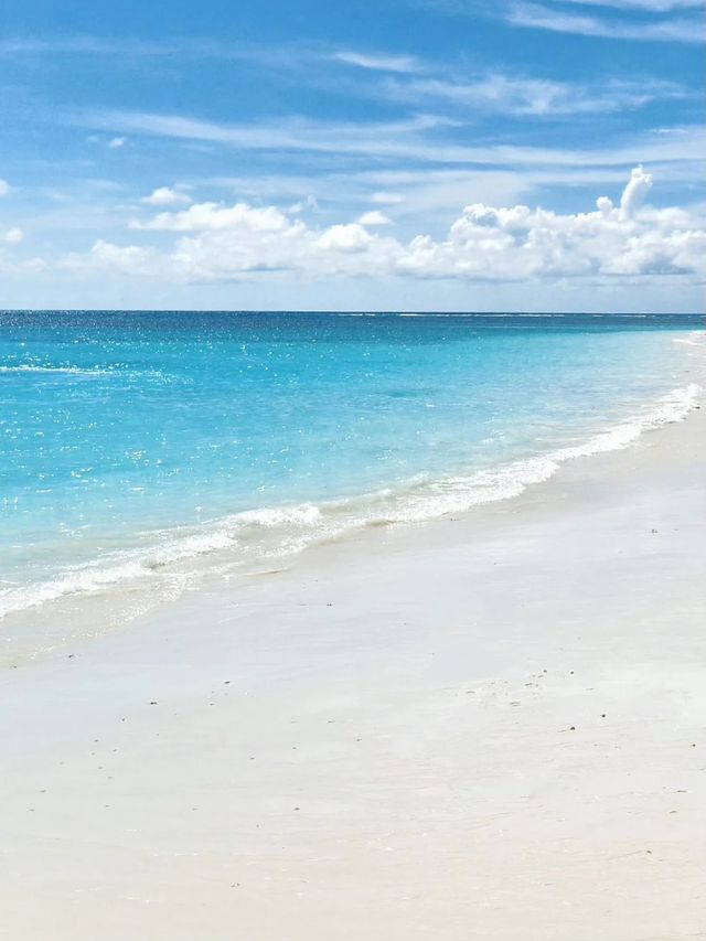 淡季的亞庇真係人間理想！！！