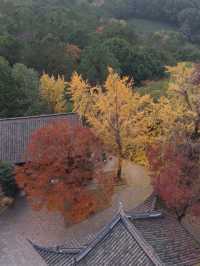 常熟小眾秘境！小雲棲寺的冬天真的美哭了！